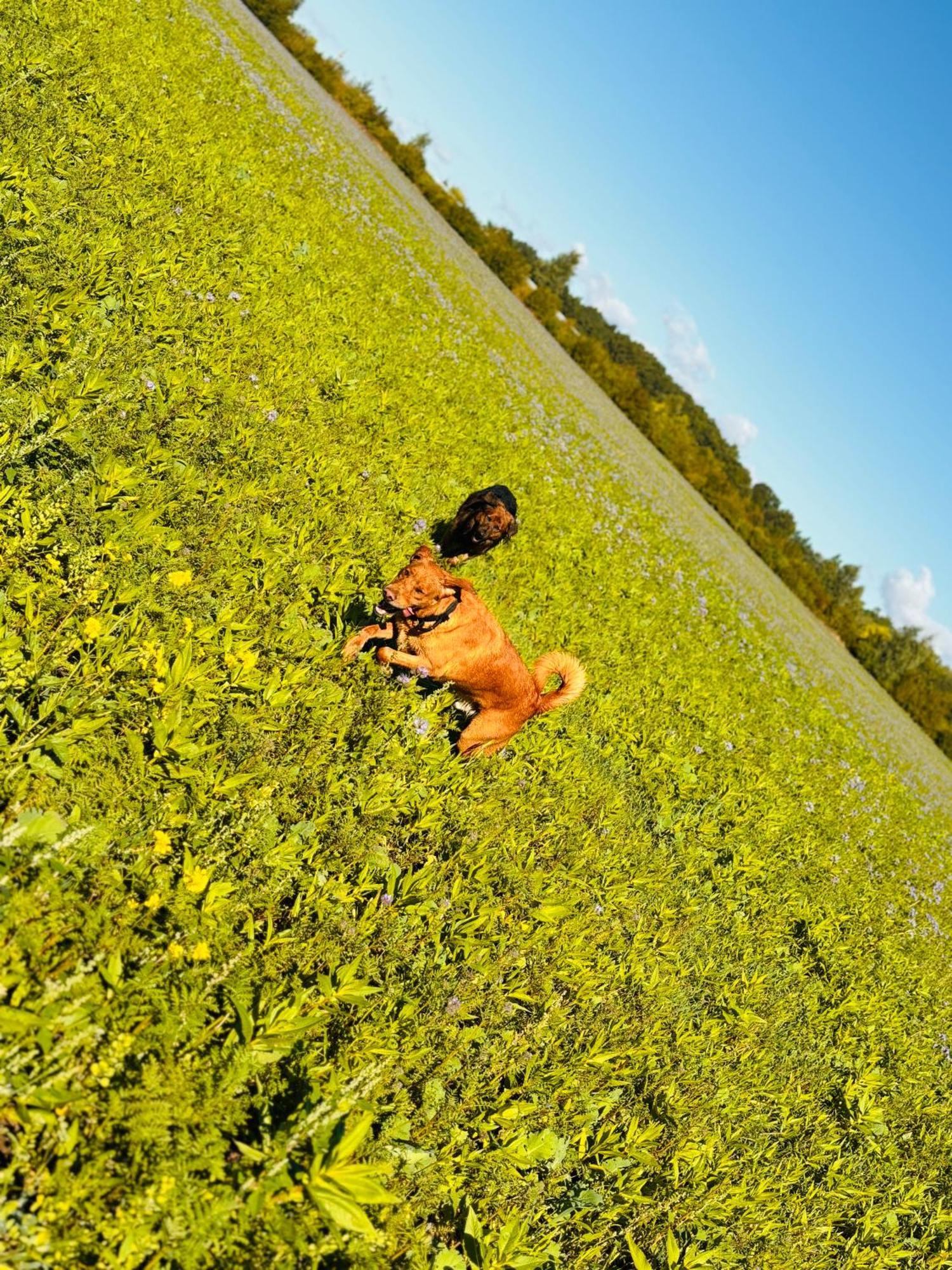 Ferienhaus Im Gruenen Pritzwalk Luaran gambar